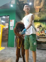 -神奇动物撸宠馆·羊驼·小浣熊·异宠(豫园店)