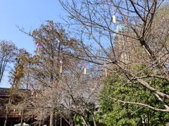 -堤角公园