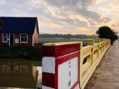 -海上花岛玫瑰园采摘