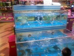 -生鲜传奇(东海星城店)