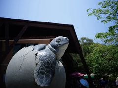 -广东惠东海龟国家级自然保护区