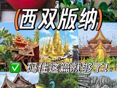 -西双版纳原始森林公园