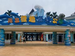 -海合安成都极地海洋公园