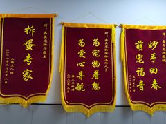 -嘉美宠物医院