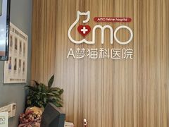 -御宝贝·A梦猫科宠物医院(国际猫友好医院)