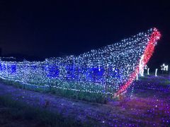 -江天生态园餐厅