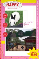 -萌宠亲子动物乐园(槐房万达店)