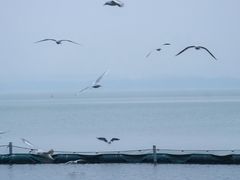 -东湖听涛景区
