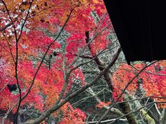 -中国茶叶博物馆(双峰馆区)