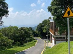 -黄埔油麻山森林公园
