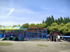 -上海滨江森林公园