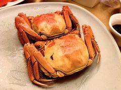 -東海薈。拉斐特(青衣城店)