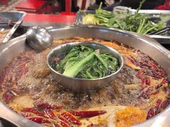 -金鼎雪山牦牛杂火锅(理县总店)