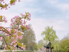 -莫愁湖公园