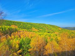 -塞罕坝国家级自然保护区