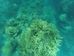 -斐济双桅帆船外岛一日游 浮潜 海钓 Tinhao号