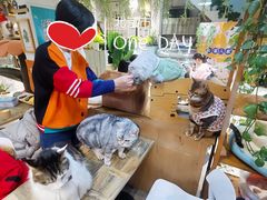-小时光咖啡馆(北锣鼓巷店)