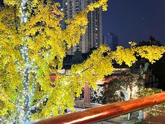 -柴门饭儿(成都太古里店)