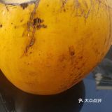 海南八天环岛游