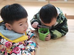 -蒙蒙狮蒙台梭利儿童之家