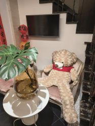 -威思丽高温瑜伽会馆