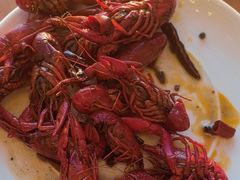 -视界美食自助餐厅·石家庄希尔顿酒店