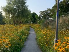 -长广溪湿地公园