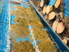 -韩记海鲜饺子旗舰店(红海新区店)