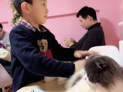 -李小姐の猫咖啡馆(五角场店)