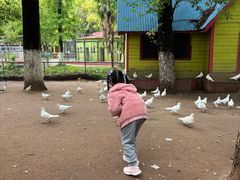 -荆州中山公园动物园