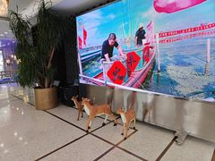 -火福·天湖阁大闸蟹博物馆主题餐厅(浅水湾店)