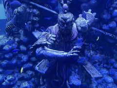 -哈尔滨波塞冬海底世界