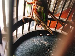-御面斋精品面馆