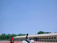 -北京群众马术培训基地