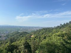 -灵顺寺