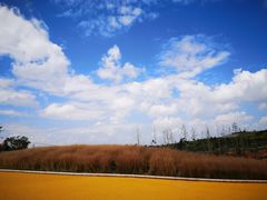 -彩色沙林风景区