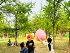 -太阳宫公园