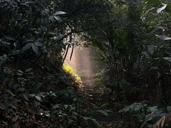 -广州市白云山风景名胜区