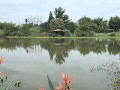 -桤木河湿地公园