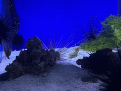 -江和美海洋公园