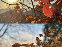 -香山公园-东宫门售票处