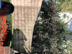-静安公园(静安寺街道)