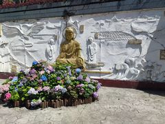 -大金鹰园