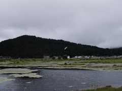-腾冲北海湿地