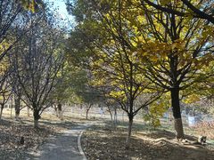 -长白岛森林公园