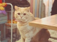 -小时光咖啡馆(开森度假森林店)