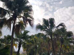 -西昌邛海湿地