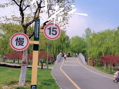 -西安浐灞国家湿地公园