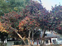 -汇龙潭