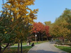 -北坞公园